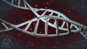 diagnóstico genético de doenças neuromusculares